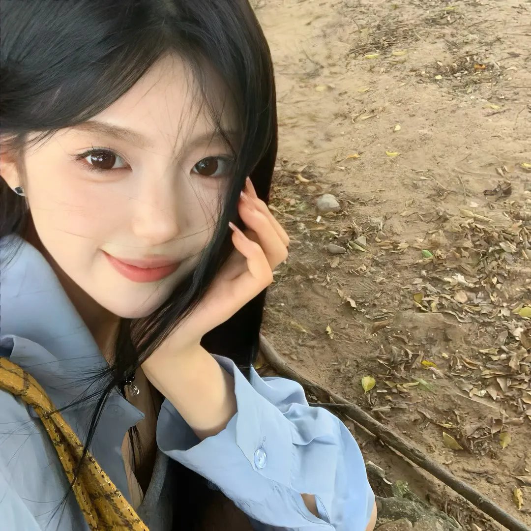 来自收容所的爱